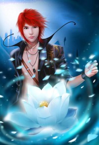 猫儿的故事