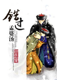 《(数字同人)错过孟婆汤(胤禟穿奕忻)》