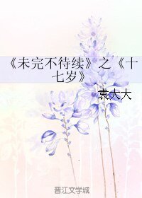 《未完不待续之十七岁》