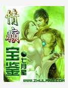 《情癫宝鉴》