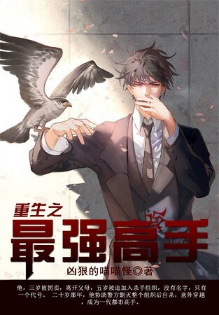 《重生之最强高手》