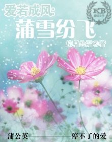 《爱若成风:蒲雪纷飞》