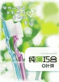 《纯属巧合》