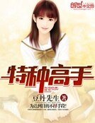 《特种高手》