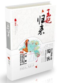 《雁初/王妃归来(出书版)》