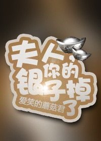 《夫人,你的銀子掉了GL》