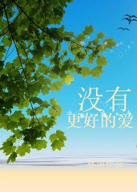 《没有更好的碍》
