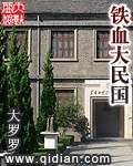 《铁血大民国》