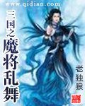 《三国之魔将乱舞》