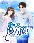 《萌妻袖袖:BOSS,慢点撩!》