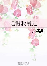 《记得我爱过》