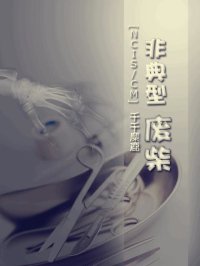 （综英美剧同人）[NCIS/CM犯罪心理]非典型废柴