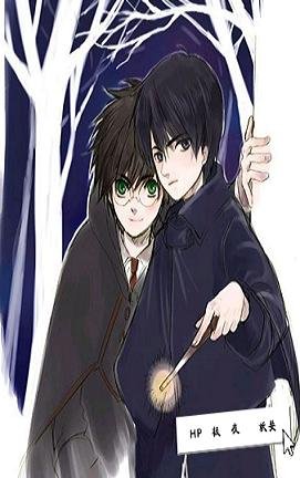 （BL/HP同人）HP极夜