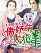 《宠婚撩人:傲娇萌妻太抢手》