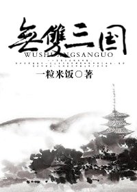《(三国同人)无双三国》