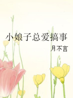《小娘子总爱搞事》
