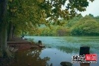 《丫丫河之恋》