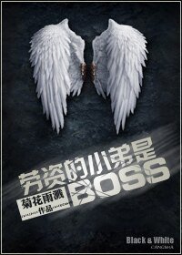 《劳资的小弟是BOSS(系统)》