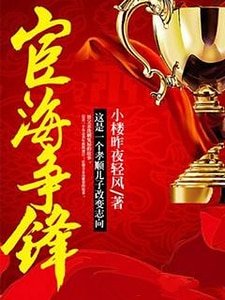 《宦海争锋》