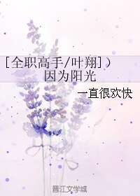 （全职同人）[全职高手/叶翔]）因为阳光
