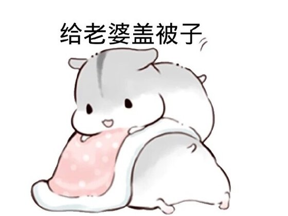 《浅谈一个写手的自我修养》