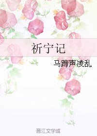 《祈宁记》