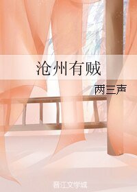 沧州有贼