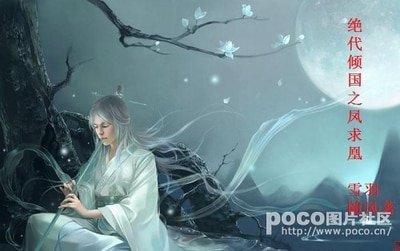 《倾国凤求凰》