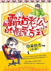 《霸道老公的圈爱方式》