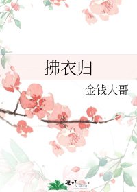 拂衣归