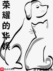 《荣耀的华娱》
