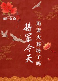 《将军今天追妻火葬场了吗》