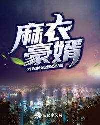 《麻衣豪婿》