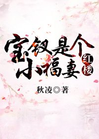 （BG/紅樓同人）寶釵是個小福妻[紅樓]