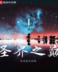 《圣界之巅》