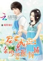 《宠妻成瘾:秦少老婆很倾城》