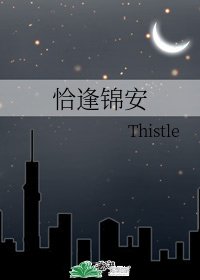 恰逢锦安