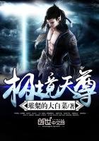 《极境天尊》