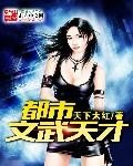 《都市文武天才》
