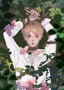 《娇弱美人被偏执狂们缠上》