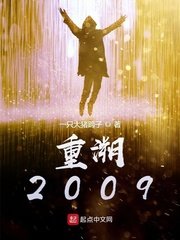 《重溯2009》