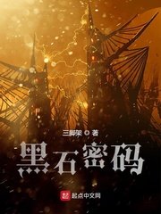 《黑石密碼》