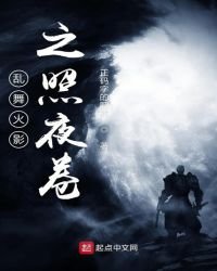 《乱舞火影之照夜卷》