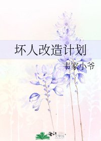 《坏人改造计划》