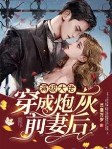 《满级大佬穿成炮灰前妻后》