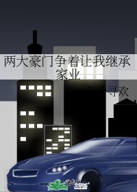 《两大豪门争着让我继承家业》