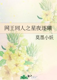 《网王同人之星夜逐曦》