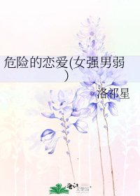 《危险的恋爱(女强男弱)》