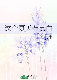 《这个夏天有点白》