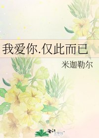 我爱你.仅此而已